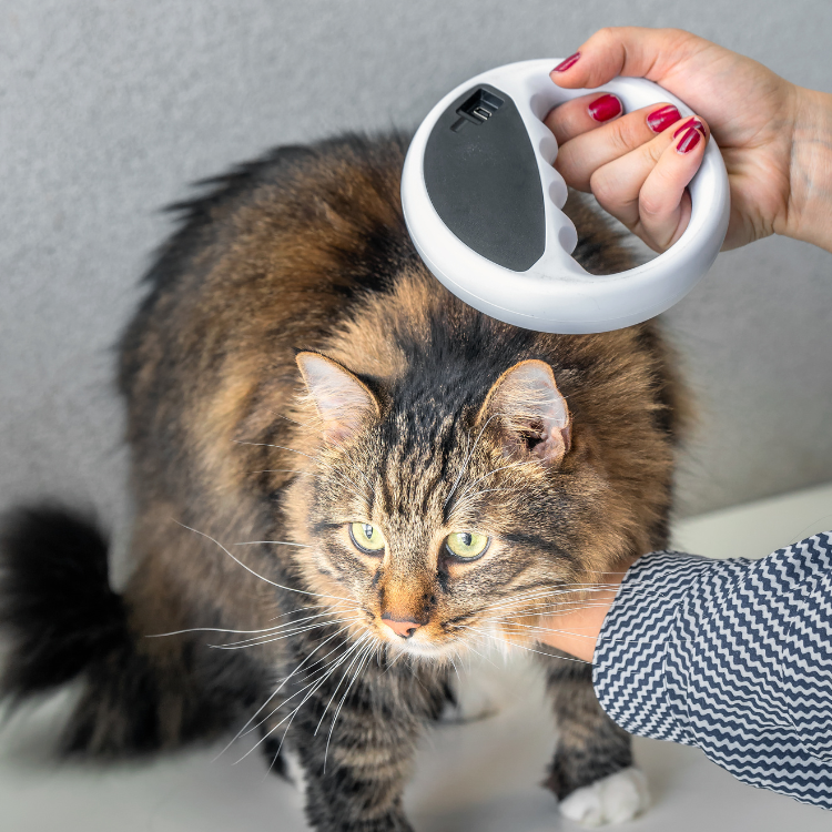 pet-tracking-device